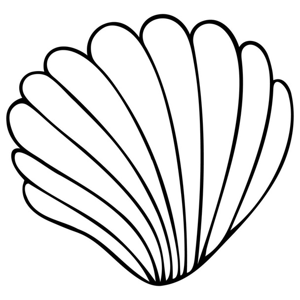 Shell from pearls. Marine fossil. Vector illustration. Outline on a white isolated background. Hand drawing style. Sketch. Former clam house. Exoskeleton of invertebrate. Coloring book for children and adults. Idea for web design, books. - Wektor, obraz