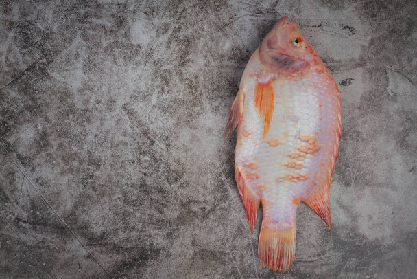 Frescura avermelha o peixe tilápia do nilo. - Foto, Imagem