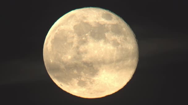 Óriás Hold felszínén sziluettező madárcsorda - Felvétel, videó