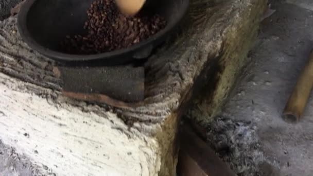 Kopi luwak or civet coffee, is coffee that includes partially digested coffee cherries, eaten and defecated by the Asian palm civet (Paradoxurus hermaphroditus). - Footage, Video