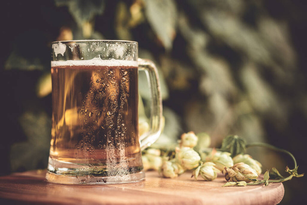 glass of beer stands on a wooden table against the background of hops. - Fotografie, Obrázek