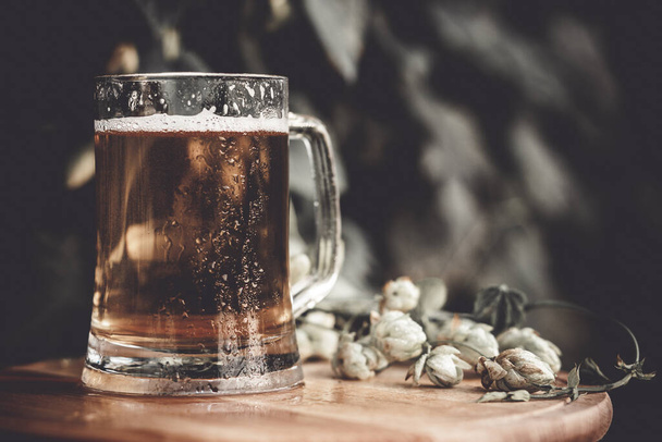 glass of beer stands on a wooden table against the background of hops. - Photo, Image