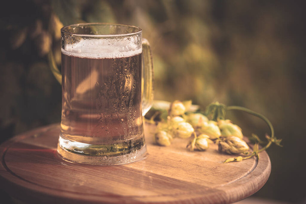 ποτήρι μπύρας πάνω σε ξύλινο τραπέζι στο φόντο του λυκίσκου. - Φωτογραφία, εικόνα