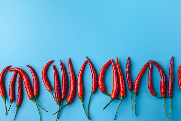 hot red pepper on a blue background. Place for text - Photo, Image