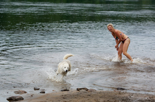 Блондинка біла біла жінка в бікіні грає з хаскі собакою в річці і насолоджується гарним літнім днем. Коханка улюбленця з нею
 - Фото, зображення
