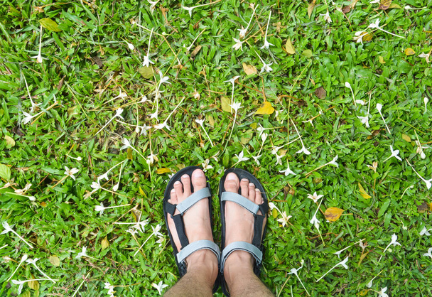 foot on grass field with Indian cork flowers (Millingtonia hortensis) - Photo, Image
