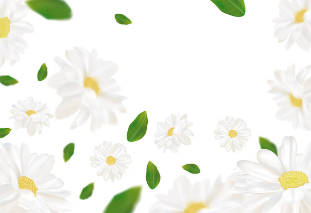 3D realistyczny rumianek z zielonym liściem. Biały rumianek w ruchu. Piękne tło kwiatu. Rumianek z bliska. Spadający kwiat rumianku. Ilustracja wektora. - Wektor, obraz