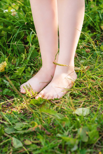Vertical image of small legs of kid standing on the grass in a nature. Child in nature. - Photo, Image