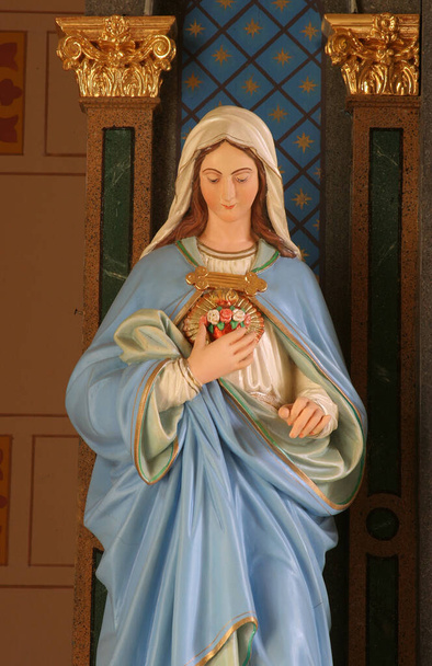 Szeplőtelen Mária Szíve, egy szobor Jézus Szent Szívének oltárán a Keresztelő Szent János templomban, Sveti Ivan Zabno, Horvátország - Fotó, kép