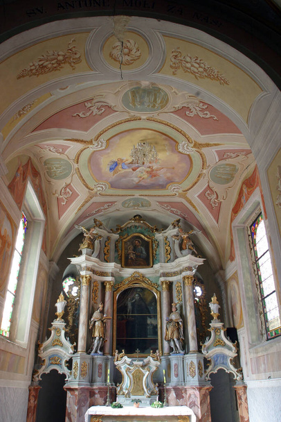 聖アントニウスの祭壇フランシスコ会教会のパドヴァの聖アントニウスの祭壇クロアチア・クランジェツの聖母マリアの降誕 - 写真・画像
