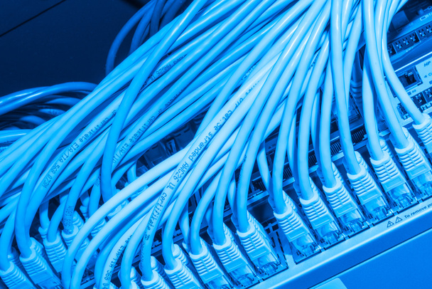 cables de red conectados al conmutador - Foto, imagen