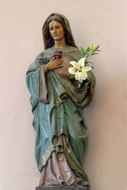 Inmaculado Corazón de María, estatua en la iglesia de Santa Catalina de Alejandría en Nevinac, Croacia - Foto, Imagen