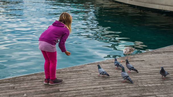 Girl feeds birds on a pier in Barcelona city, Spain - Photo, Image