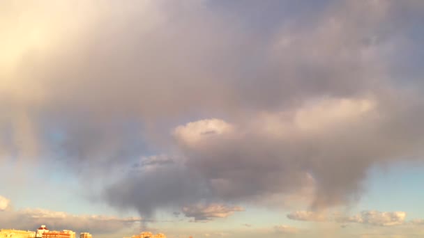 панорамний вид на парк рекреаційних зон і ліс знятий з безпілотника
 - Кадри, відео