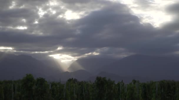 Αμπελώνες στην κοιλάδα Uco στην πόλη της Μεντόζα της Αργεντινής σε μια συννεφιασμένη ανοιξιάτικη μέρα. Ο ήλιος προσπαθεί να μπει στον αμπελώνα με τις ακτίνες του. - Πλάνα, βίντεο