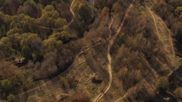 Panoramablick auf den Park der Erholungsgebiete und den Wald von der Drohne entfernt - Filmmaterial, Video