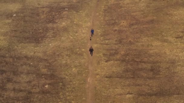 panorámás kilátás nyílik a park szabadidős területek és az erdő eltávolított a drón - Felvétel, videó