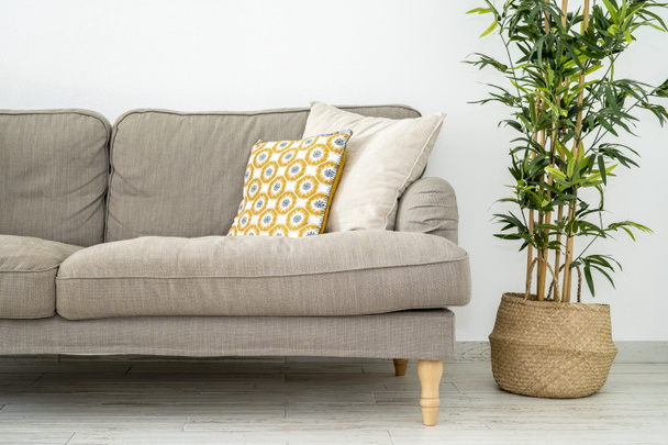 На углу гостиной диван с зеленым растением сбоку
 - Фото, изображение