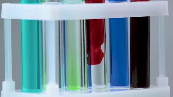 Fechar tubos de ensaio com líquido multicolorido em rack de laboratório
. - Filmagem, Vídeo