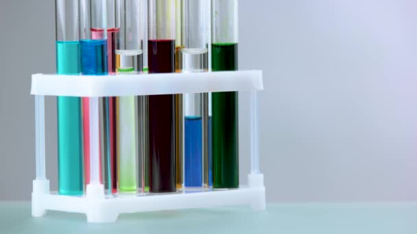 Test tubes with colorful liquid in rack. - Footage, Video