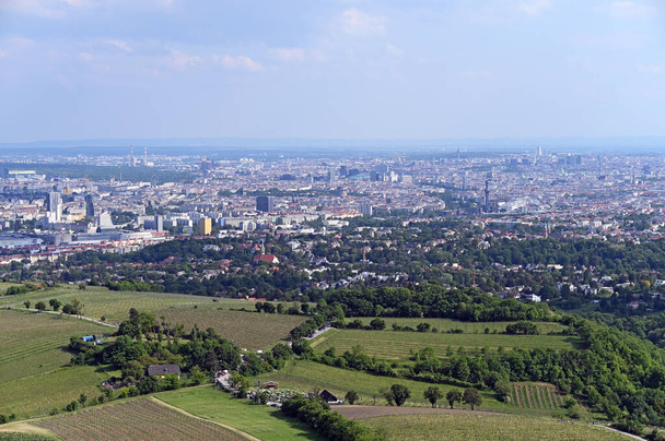 Szőlőültetvények és Bécs panorámás kilátása - Fotó, kép