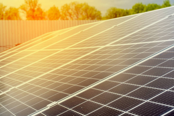 As células solares fecham. Planta de energia de painéis solares alternativos. Sustentabilidade do planeta. Energia verde para casa. Módulos elétricos azuis sol está em fileira no chão
 - Foto, Imagem