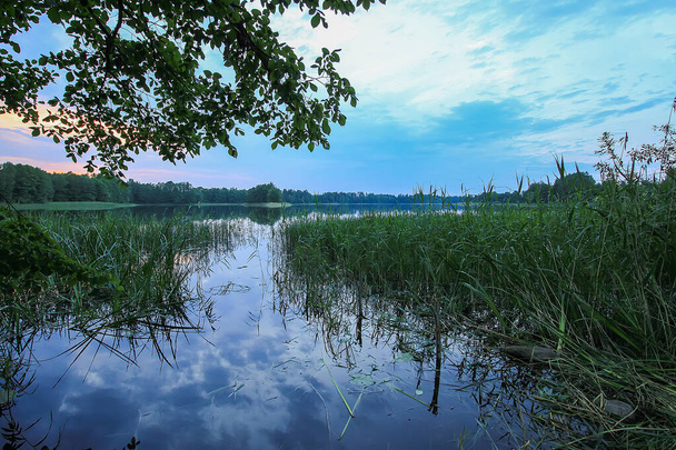Vue panoramique sur le paysage avec lac en Lettonie, Latgale, Europe de l'Est. Nature estivale - Photo, image