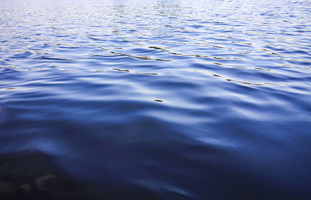 Глибока холодна вода в озері в Латвії, Латгалії, Східній Європі. Літня природа - Фото, зображення
