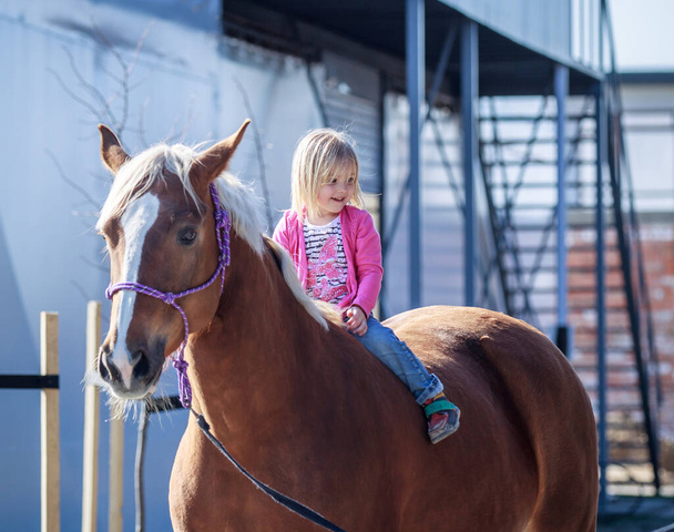Нежные отношения маленькой девочки и большой красивой лошади
 - Фото, изображение