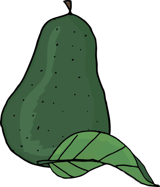 Avocado fruit cartoon illustration. Avocado isolated on white vector - Vector, Image