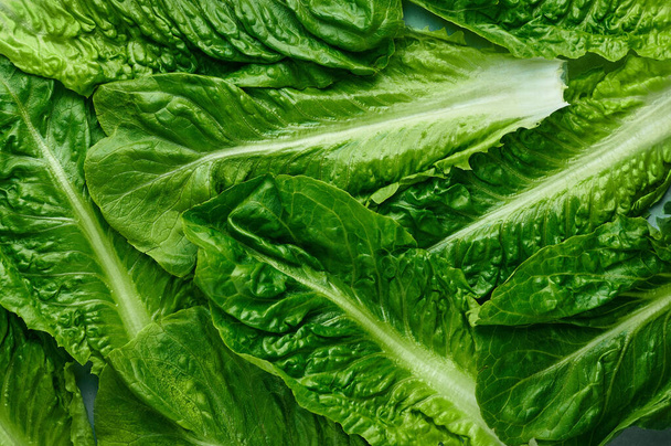 Romaine Marul dokuyu terk eder. Yeşil salata yapraklarının arka planı. Taze salata yeşillik deseni. Organik konsept arkaplan. - Fotoğraf, Görsel