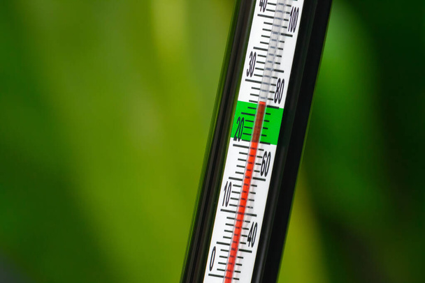 Termometr temperatury wody w zbiorniku na ryby szklane - Zdjęcie, obraz