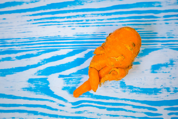 Fattoria carote brutte fresche piegate e contorte. Carota divertente a forma di dita umane. Serie di carote divertenti
. - Foto, immagini