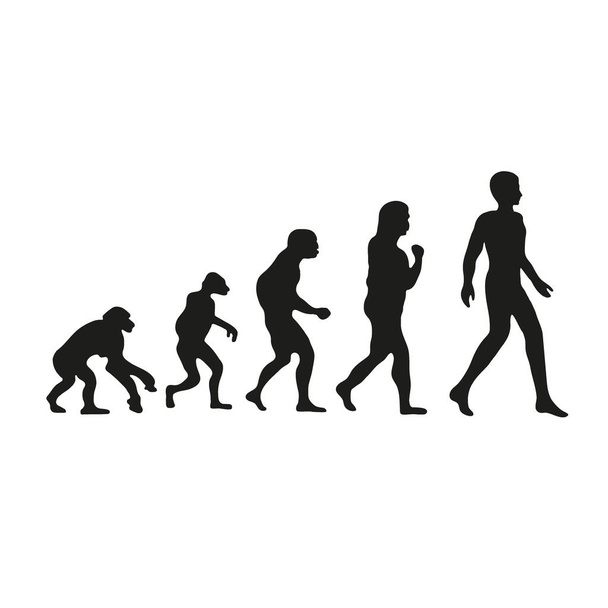 人間のダーウィンの進化 - ベクター画像