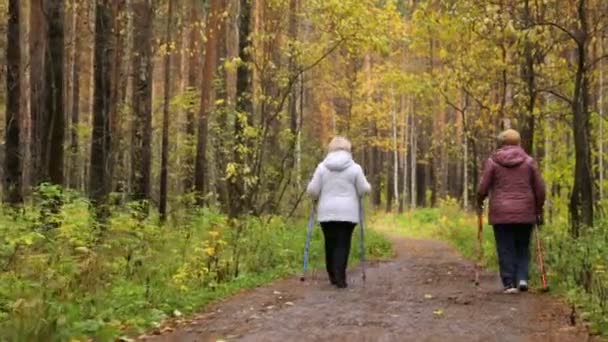 Kobiety spacerujące ścieżką w parku - Materiał filmowy, wideo