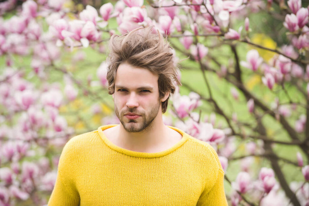 Macho in yellow sweater in park with blossoming trees - Foto, afbeelding