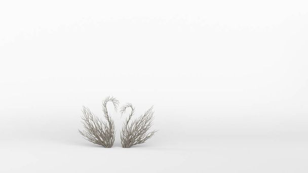 Tree in a shape of a swan. Eco Concept. 3D rendering. - Fotoğraf, Görsel