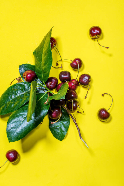 Branch with ripe berries sweet cherry with leaves on yellow background. Raw eating diet concept. Super natural food - Фото, зображення
