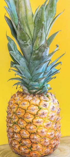 Summer composition. Pineapple on a yellow background. Vertical panorama. - Valokuva, kuva