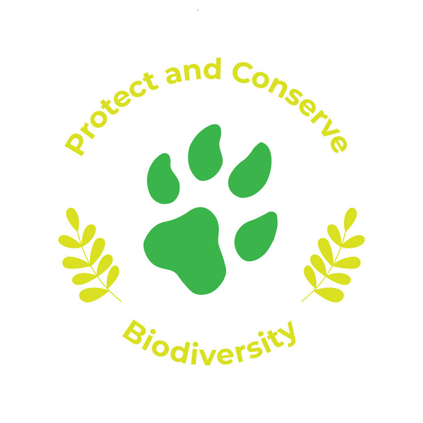 Дизайн плаката BIODIVERSITY в квадратной композиции с зеленым цветом для мероприятия Дня окружающей среды. 5 июня 2020
 - Вектор,изображение