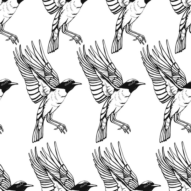Seamless pattern with birds. Redstart. Outline drawing. Hand drawn vector illustration in sketch style. Perfect for greetings, invitations, manufacture wrapping paper, textile and web design. - Vecteur, image