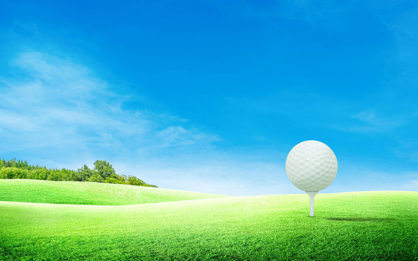 White golf ball on tee and green grass meadow field with blue sky and trees in background. - Photo, Image