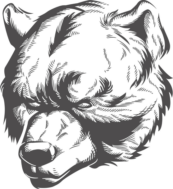 Silueta oso cabeza grabado grabado grabado vista frontal boceto aislado en blanco y negro vector ilustración
 - Vector, imagen