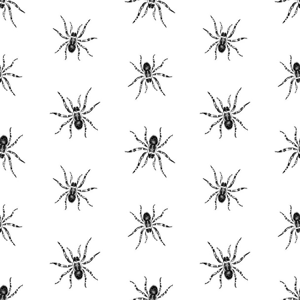 Seamless pattern of drawn poisonous spiders - Vector, Image