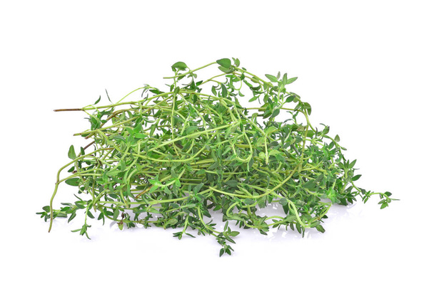 Thyme fresh herb closeup isolated on white background. - Photo, Image