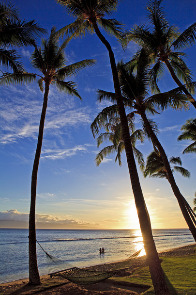 カアナパリ ビーチで太平洋の夕日 - 写真・画像