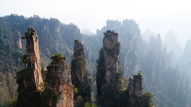 чарівні неземні гори з сосновими деревами зверху в тумані
 - Фото, зображення