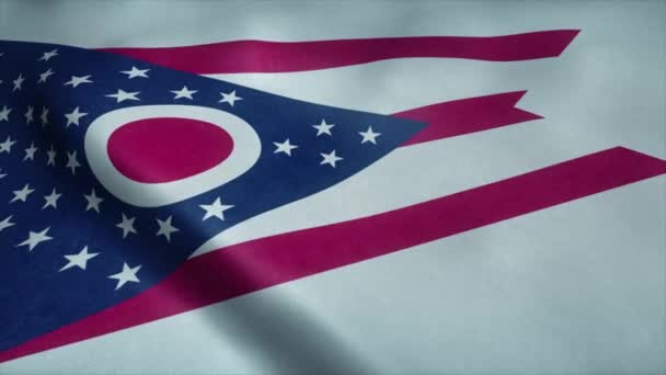Die Flagge des Bundesstaates Ohio weht im Wind. Nahtlose Schlaufe mit sehr detaillierter Textur - Filmmaterial, Video