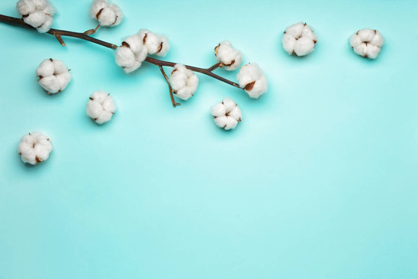 Beautiful cotton branch on color background - Valokuva, kuva