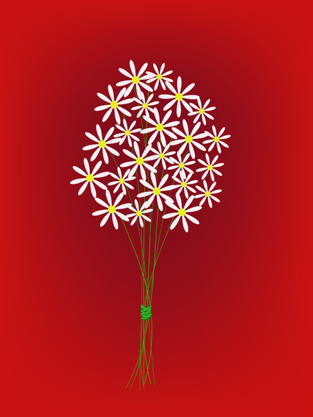 ramo de flores margaritas
 - Vector, Imagen